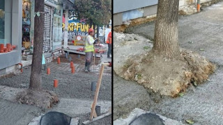 Топ 5 на провалите на Фандъкова