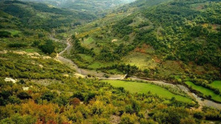 Синове на кметове се облажили с евтина земя