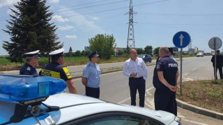 ТУЛУПИ И СЪНАРОДНИЦИ