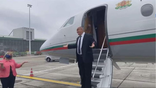 Оставете тулупа на стълбата, вижте краварката в левия ъгъл!