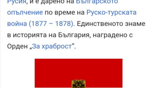 За неграмотниците, които ме обвиняват, че съм носила руското знаме на протестите