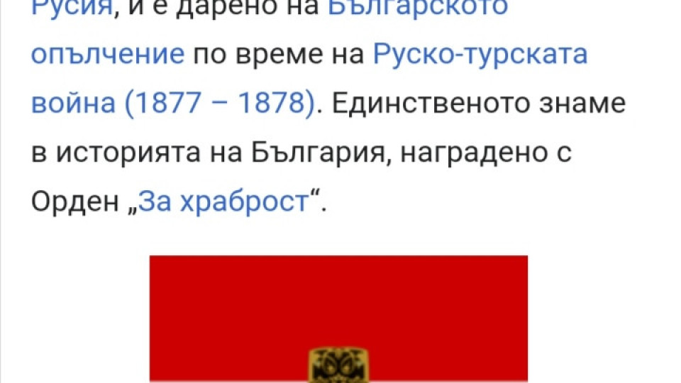 За неграмотниците, които ме обвиняват, че съм носила руското знаме на протестите