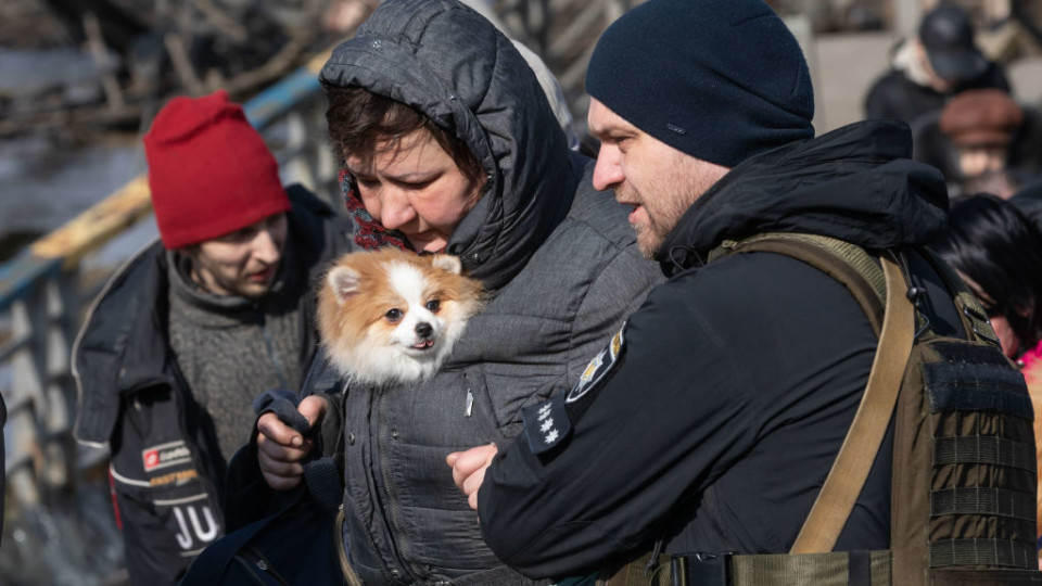 Животни бежанци: как украинците спасяват домашните си любимци от войната (галерия)