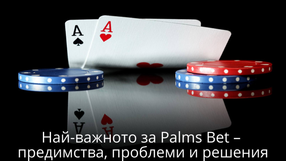 Най-важното за Palms Bet – предимства, проблеми и решения