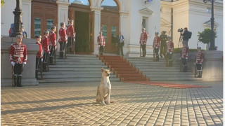 "ПАРЛАМЕНТАРНАТА НИ ДЕМОКРАЦИЯ" Е В "ОПАСНОСТ" - КУЧЕ ПРЕД НС