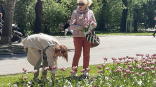 Заради това не заслужаваме нищо красиво! Вижте какво правят тези две варненки