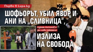 Шофьорът, убил Явор и Ани на "Сливница", излиза на свобода