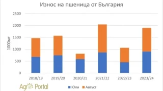 ТАБЛИЦА показа чудо с българската пшеница