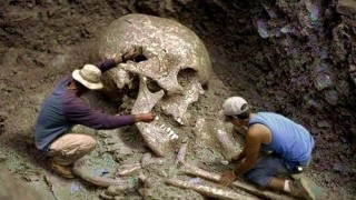 Открити ли са кости на великани?