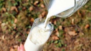 КАРТЕЛ! Субсидарите не прощават – бедният българин пие най-скъпото мляко в ЕС