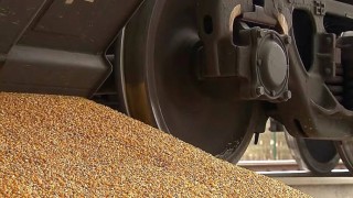 Изхвърлиха украинска царевица от влак в Полша (ВИДЕО)