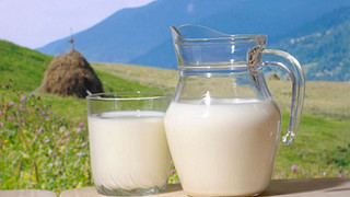 Фермери: Българското мляко спря да се купува, за да се внася сухо мляко от Украйна