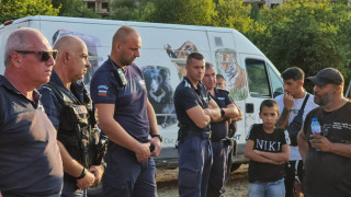 Напрежение в "Ботунец" заради крокодила, отглеждан в неподходящи условия