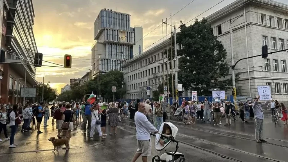 Протест на три кръстовища брани дърветата на "Опълченска"