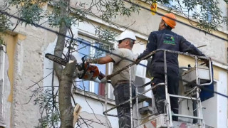 Вижте нагледно как гарантирано се губят гласове преди избори