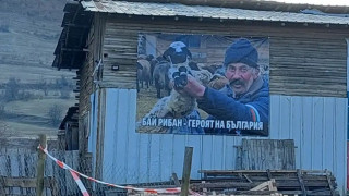 Велинград: Какво видяхме до кошарите с овцете на бай Рибан