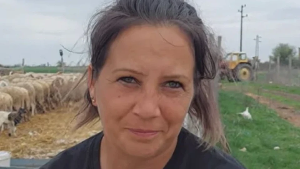 Овцевъдка: Това, че имам 200 овце и 200 дка пасище, ме прави богата пред държавата. Имам четири деца и не получавам детски за тях Овцевъдка: Това, че имам 200 овце и 200 дка пасище, ме прави богата пред държавата. Имам четири деца и не получавам детски за тях