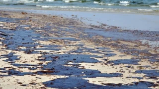 Плажовете в Стария град на Поморие са черни от нефт – къде е общината?