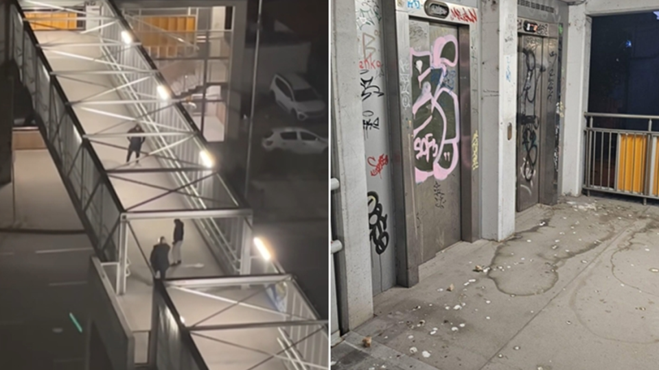 Брутална жестокост във Варна: Младежи осакатиха гларус за забавление ВИДЕО