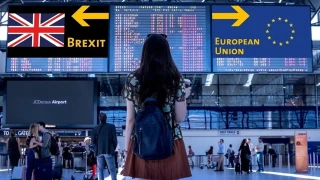 За разлика от България държавите от ЕС са провели 43 референдума: от приемане на еврото до влизане/излизане от Евросъюза