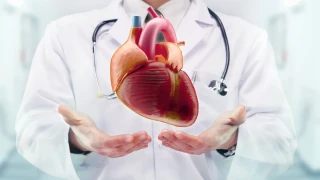 Плодът, който „лекува“ сърцето: Ето какво се случва, ако го ядете два пъти седмично