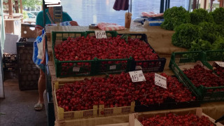 ПРЕД ЧЕРЕШОВА ЗАДУШНИЦА: АЛЧНО И ПРОСТО ПЛЕМЕ СМЕ! НЕ ИМ КУПУВАЙТЕ ЧЕРЕШИТЕ НА АЛЧНИТЕ ТЪРГАШИ!
