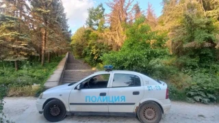 Издирват животно на Шуменското плато, затвориха пътищата