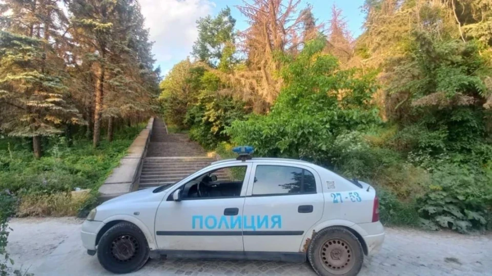Издирват животно на Шуменското плато, затвориха пътищата