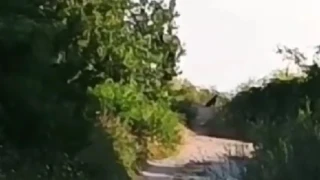 Вижте хищника, заради който забраниха достъпа към Шуменското плато (ВИДЕО)