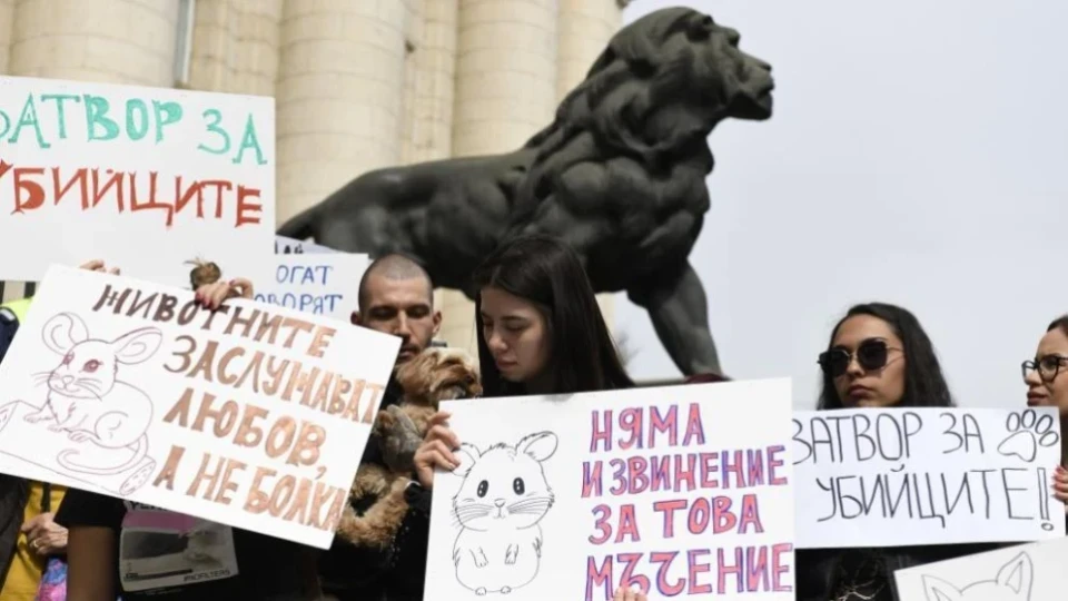 За насилие над животни, като случаите в Перник – до 10 години затвор