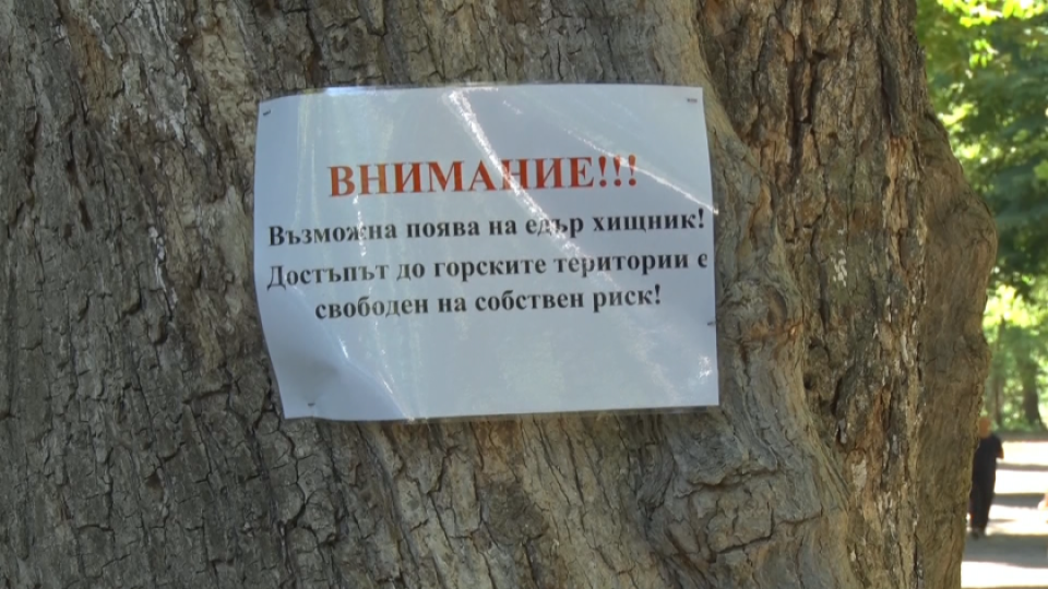 Бизнесът иска компенсации заради издирването на черния леопард