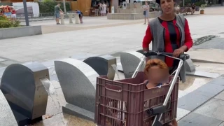 Като в черна комедия по Костурица - жена, возеща детето си в касетка, се изкъпа на фонтаните в центъра на Бургас