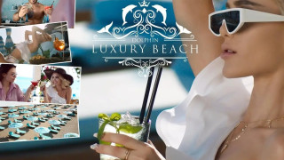 Dolphin Beach Luxury – плажът, за който ще разказваш дълго след залеза