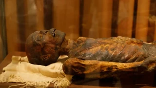 В Сибир откриха татуирана мумия на 2300 години (СНИМКИ)