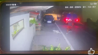 Прокуратурата ще внесе искане за постоянен арест на мъжа, убил куче в Тетевен