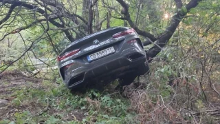 БМВ "кацна" на дърво на Витоша