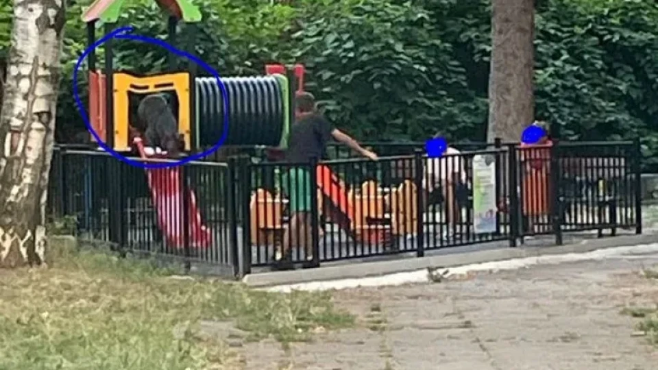 "И утре сме там": Качиха огромно куче на детска пързалка