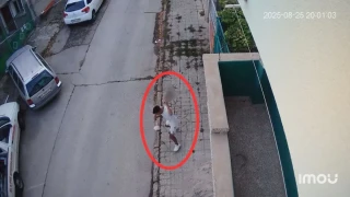 Жестокост в Севлиево: Млад мъж хвърли котенце в земята, то почина ВИДЕО 18+