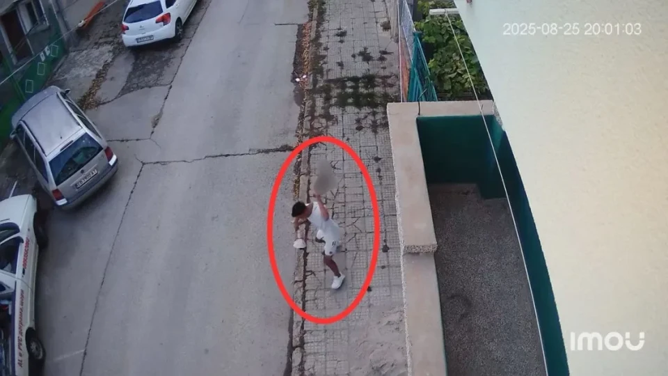 Жестокост в Севлиево: Млад мъж хвърли котенце в земята, то почина ВИДЕО 18+