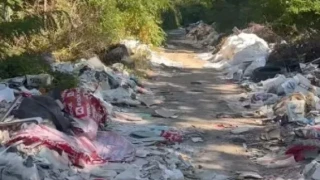 В София: Превърнаха крайречна уличка в грозно сметище СНИМКИ