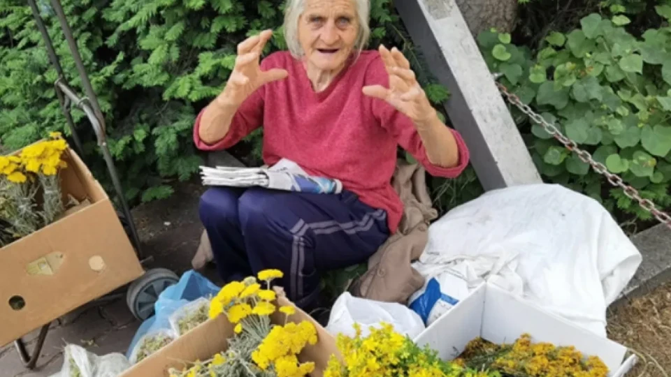 Помните ли баба Стефка? Живее в оскъдица и спи на кашони — да ѝ помогнем!