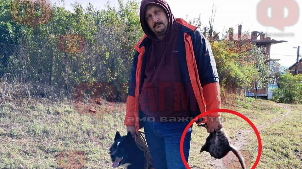 Eдър мъж от Украйна храни кучето си с домашните котки в несебърското с. Тънково