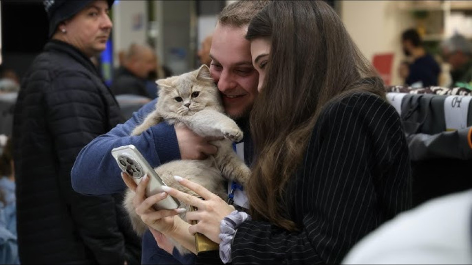 Котки световни шампиони радват софиянци