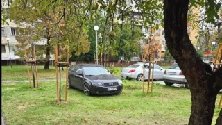 Черно ауди цъфна между фиданки на столична полянка СНИМКИ