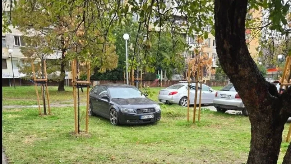 Черно ауди цъфна между фиданки на столична полянка СНИМКИ