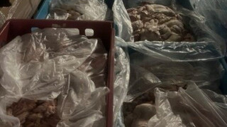 Повече от 70 тона е вече откритото месо с неясен произход при акцията в София
