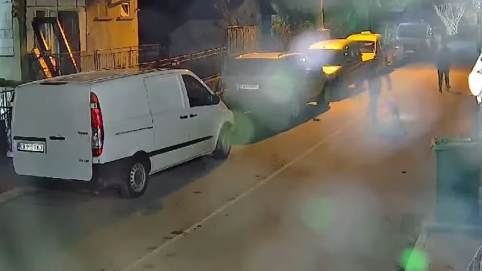 „Добро" куче, пуснато без повод, разкъса домашно коте