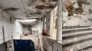 Декор от филм на ужасите или място за пешеходци: Софиянци алармира за ужасното състояние на подлез СНИМКИ