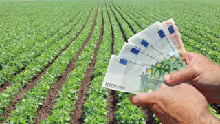 ЗЪРНЕНА ВОЙНА! 20 години затвор за кражба на 2,3 млн. лв. грозят бургаския счетоводител Йордан Йорданов