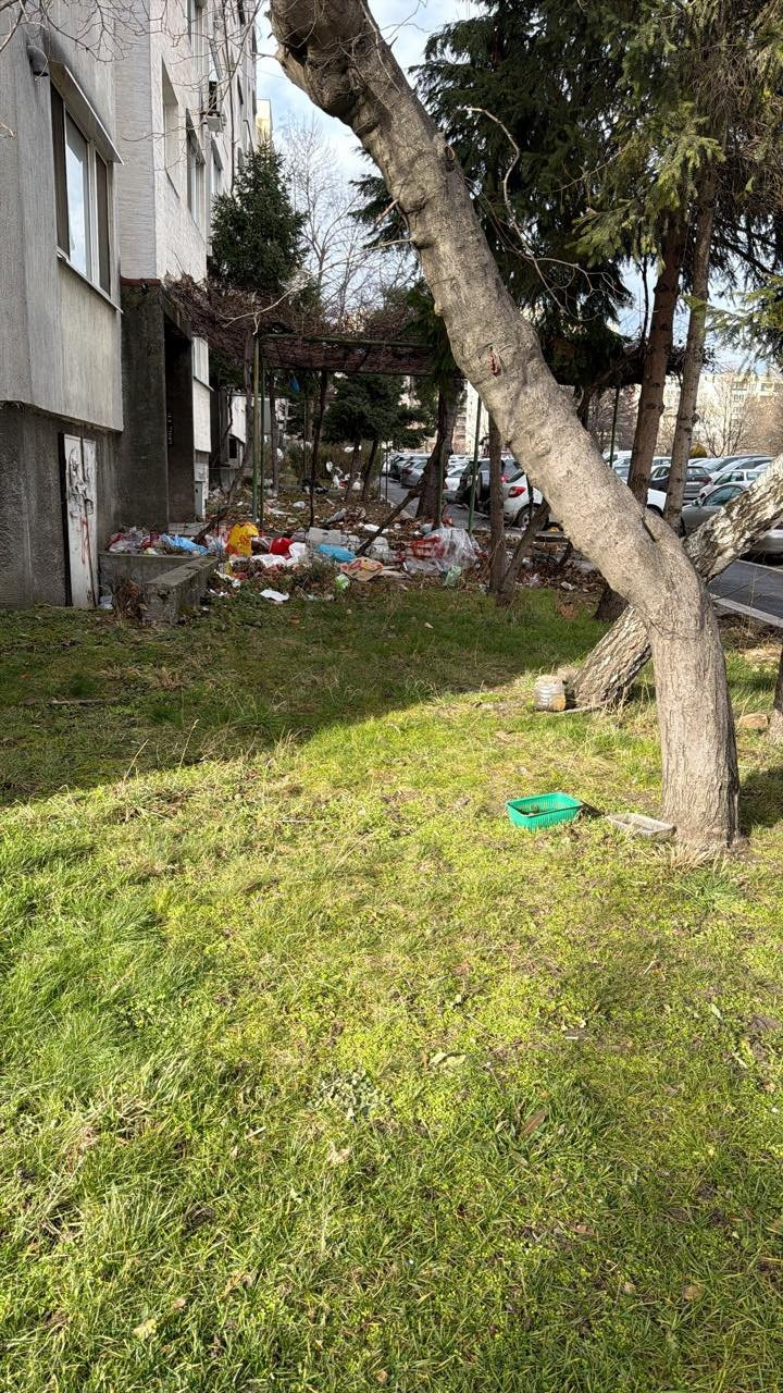Криза, вятър и празнично разчистване "украсиха" София с матраци и пликове (снимки и видео)
